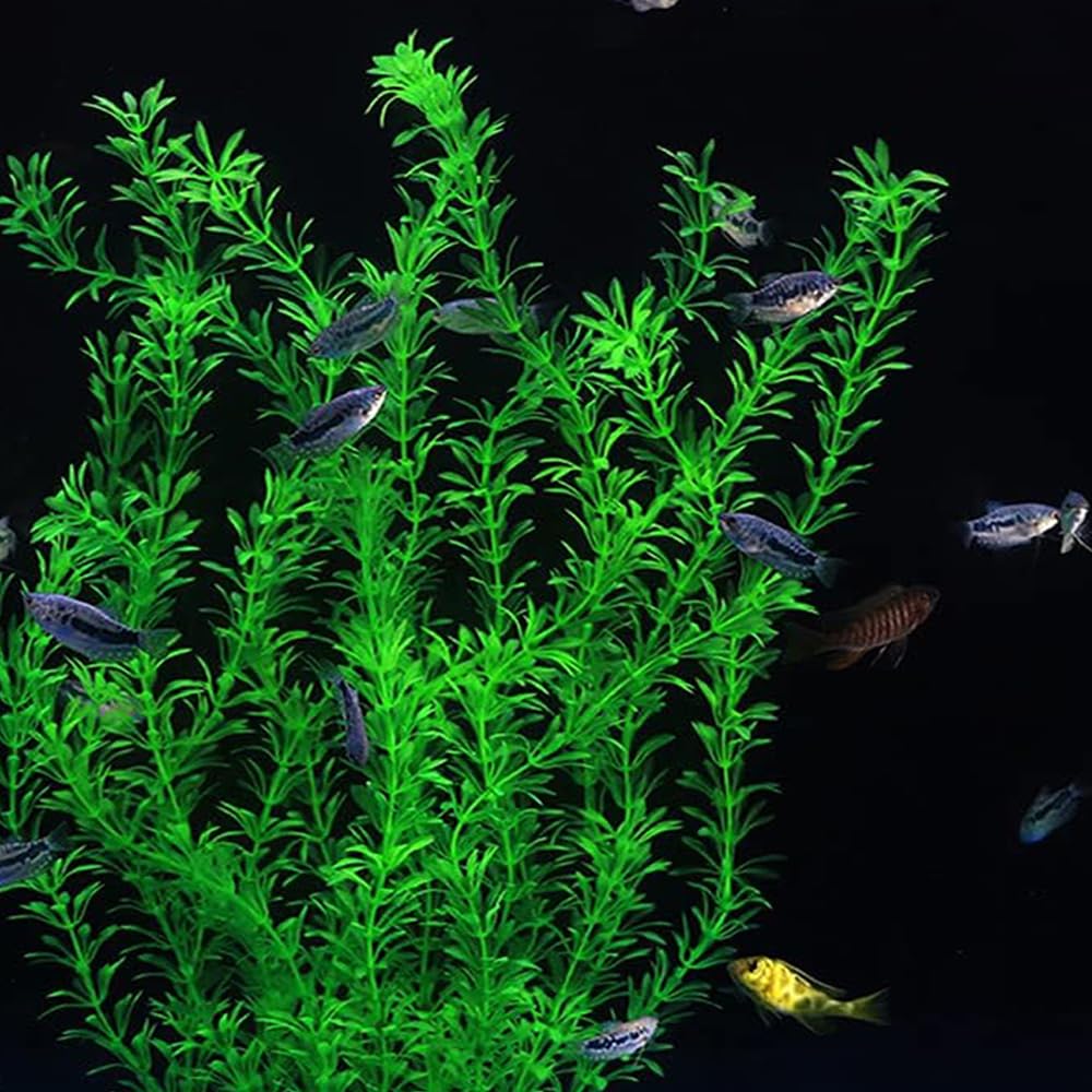 DSkoiph tall plastic plant decor enhances tank aesthetics and water movement illusion.