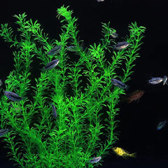 DSkoiph tall plastic plant decor enhances tank aesthetics and water movement illusion.
