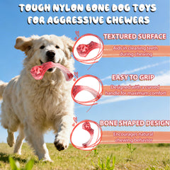DSUMD Textured surface promotes gum massage and oral care during chewing.