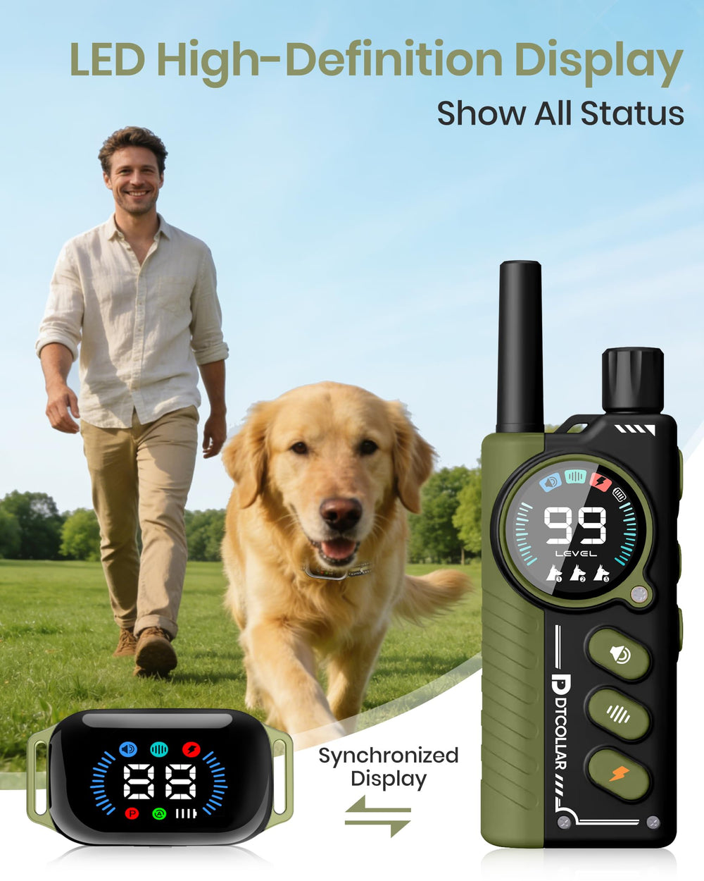 DTCollar adjustable no-install strap fits small to large dogs securely.