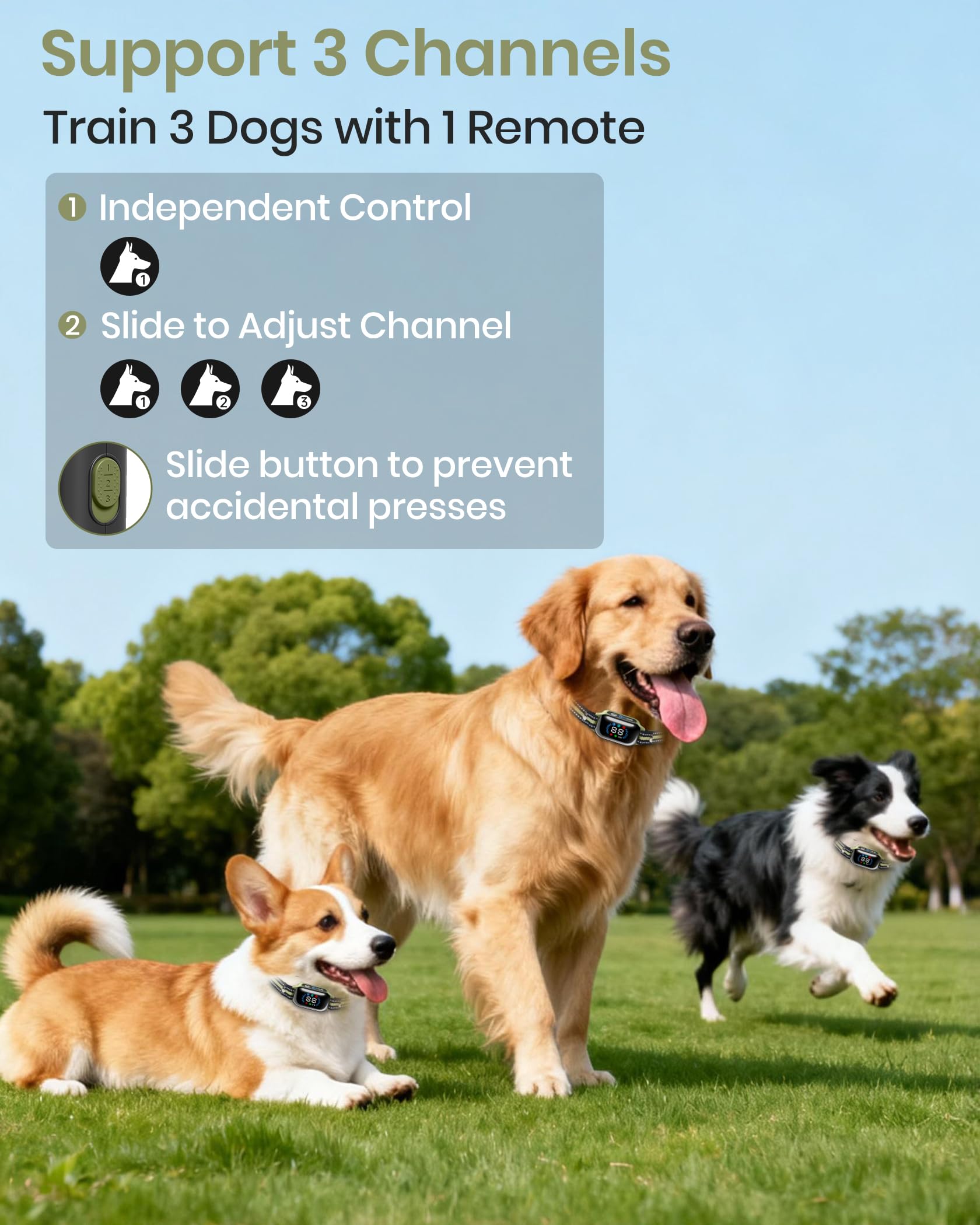 DTCollar IP67 waterproof rating for rain, mud, and swims.