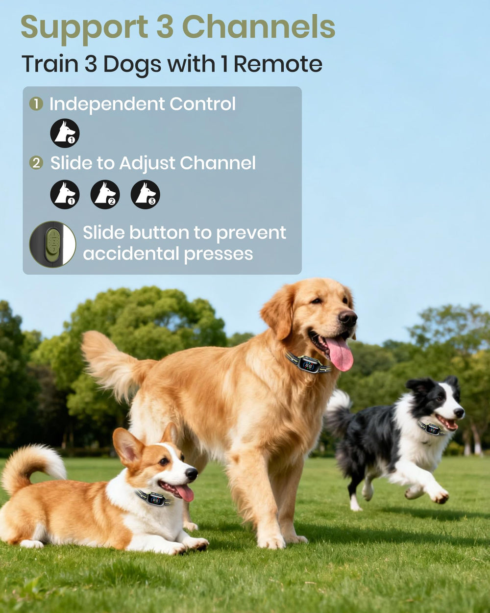 DTCollar IP67 waterproof rating for rain, mud, and swims.