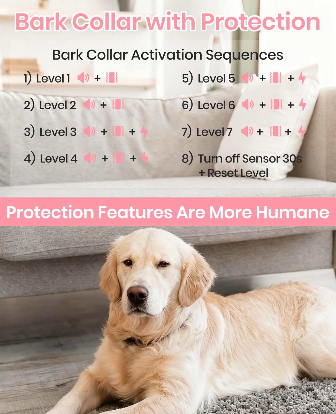 DTCollar IP67 waterproof design for indoor and outdoor use