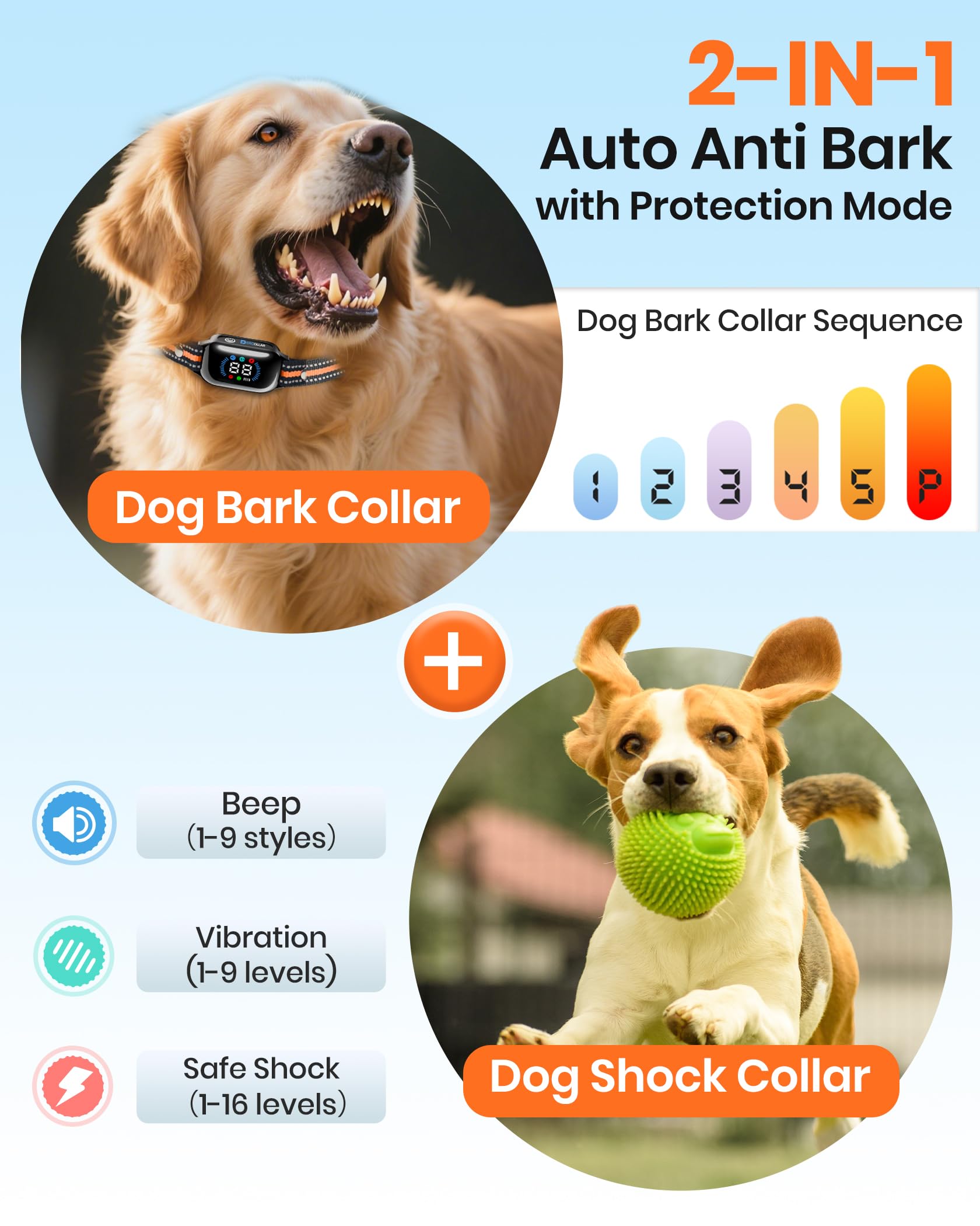 DTCollar long-lasting battery life supports extended training sessions.