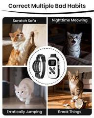 DTCollar long silicone caps for long haired cats during training