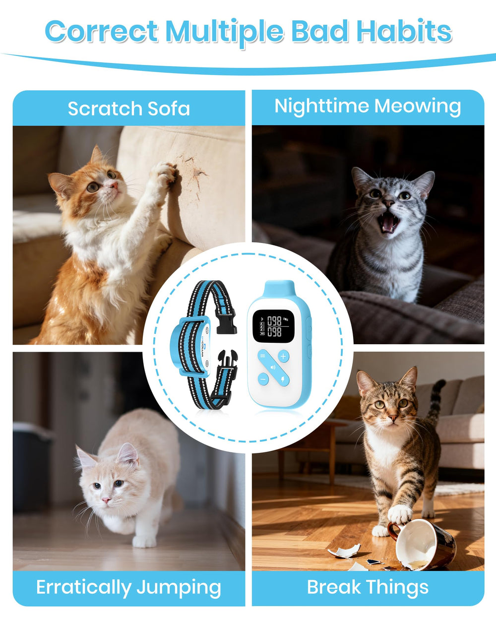 DTCollar Mini Cat Collar waterproof IPX7 withstands baths, rain, and splashes