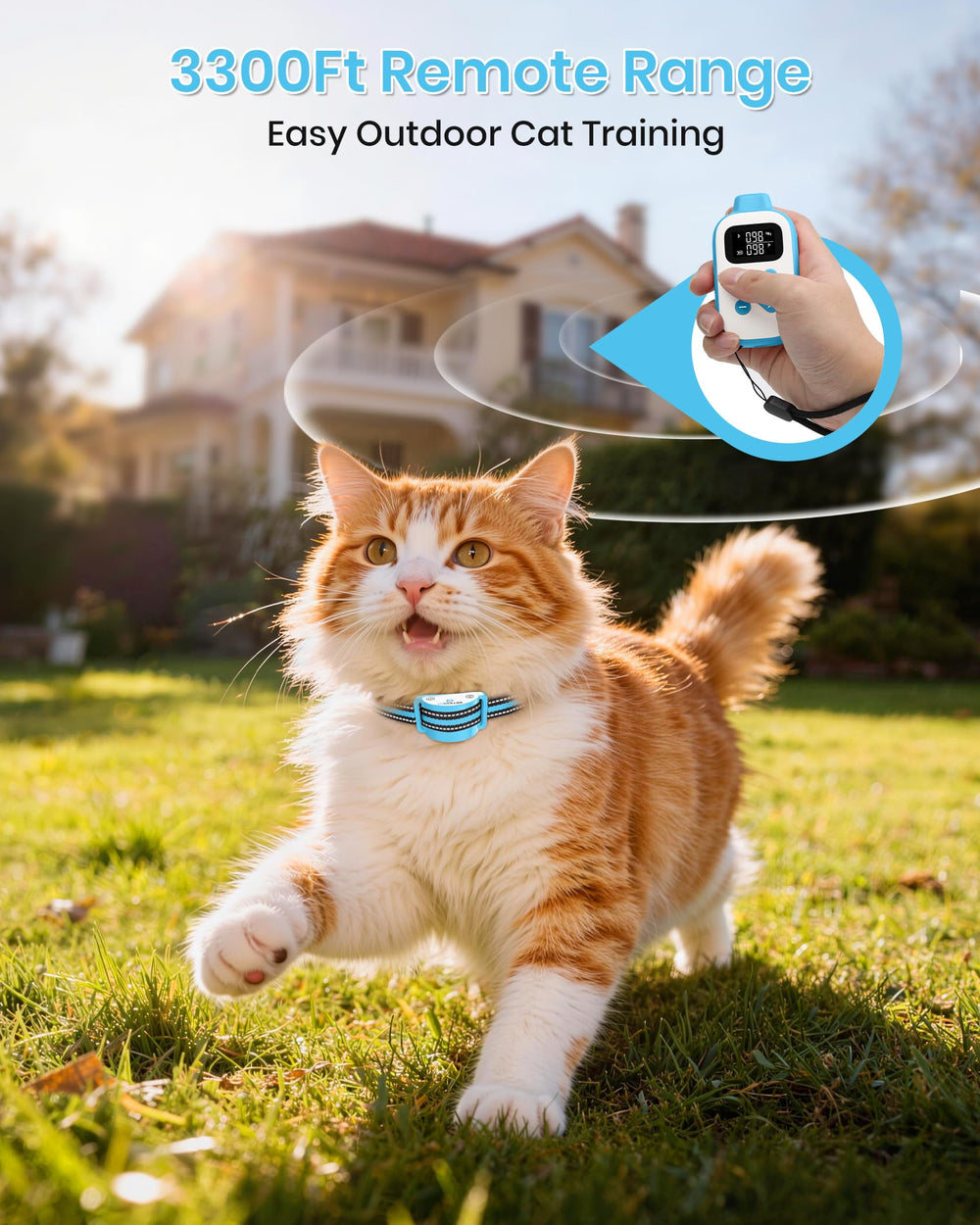 DTCollar Mini Cat range training at 3300ft ensures responsive guidance outdoors