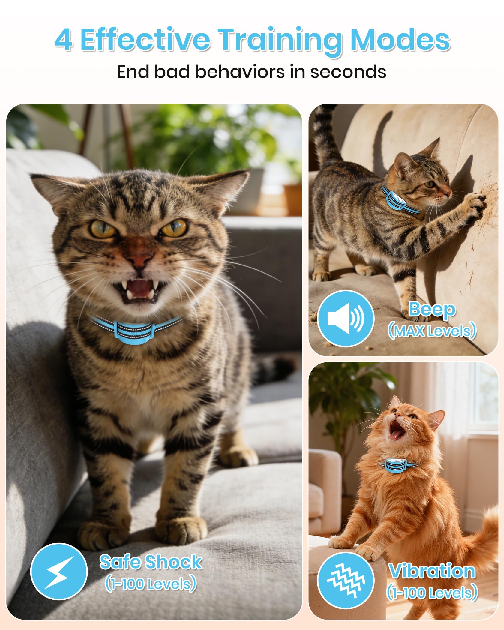DTCollar Mini Cat remote control usage highlights simple mode switching for safe training