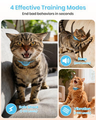 DTCollar Mini Cat remote control usage highlights simple mode switching for safe training