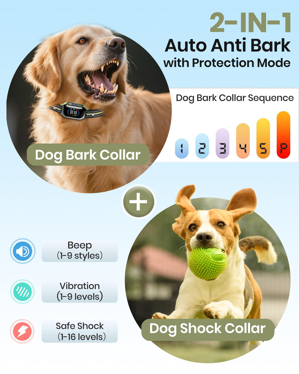 DTCollar reflective material enhances night-time visibility during walks.