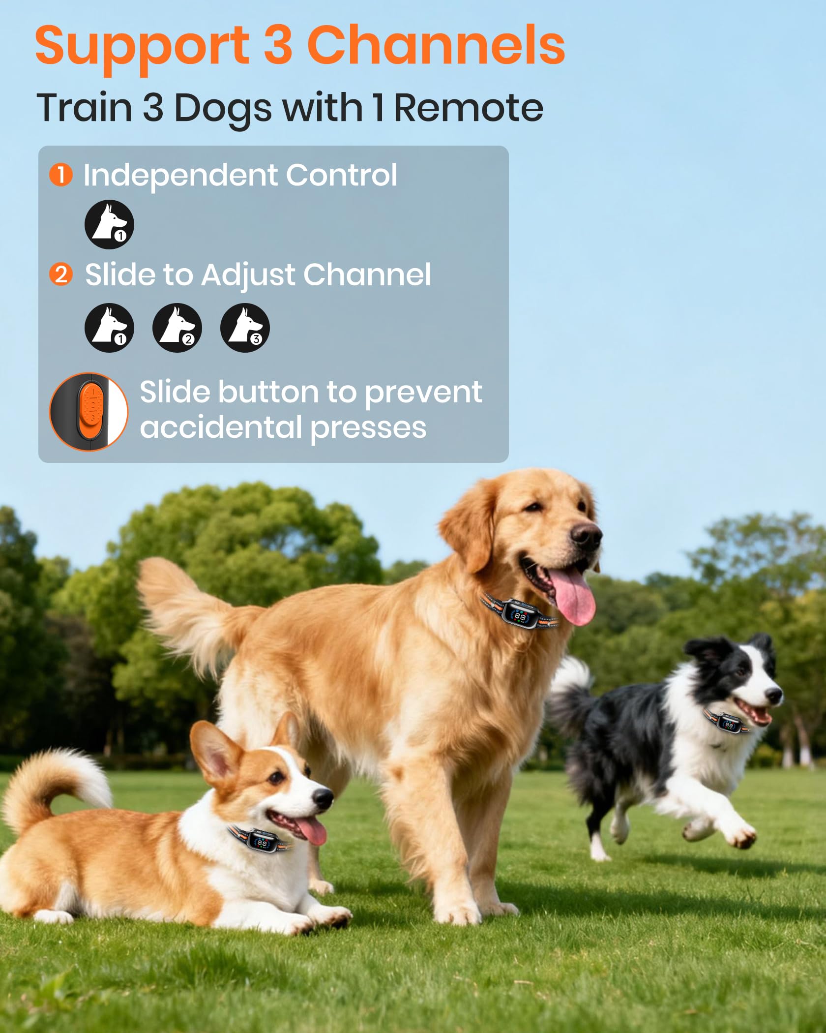 DTCollar three-channel design supports multiple dogs in one system.