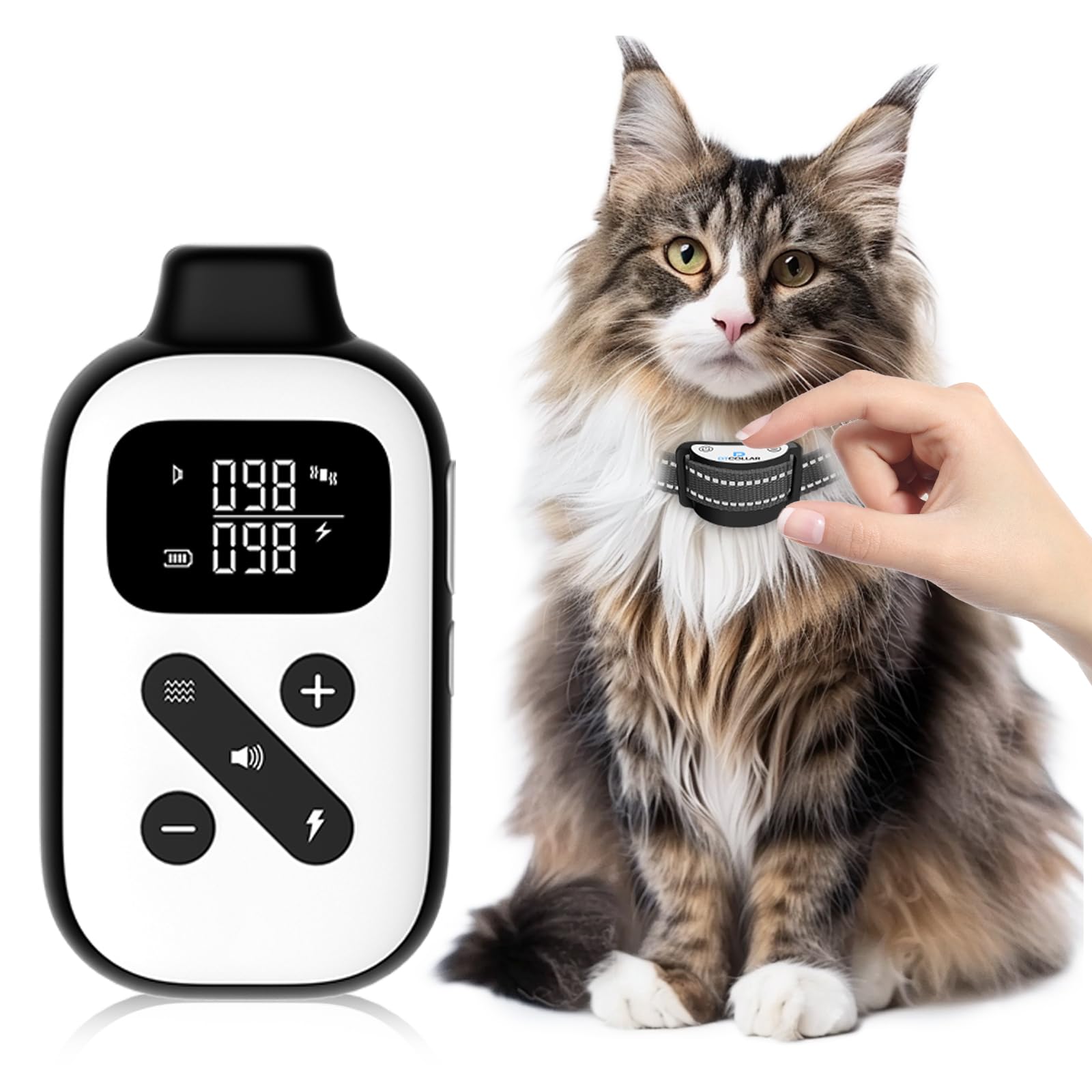 DTCollar ultra small cat shock collar receiver designed for light weight daily wear