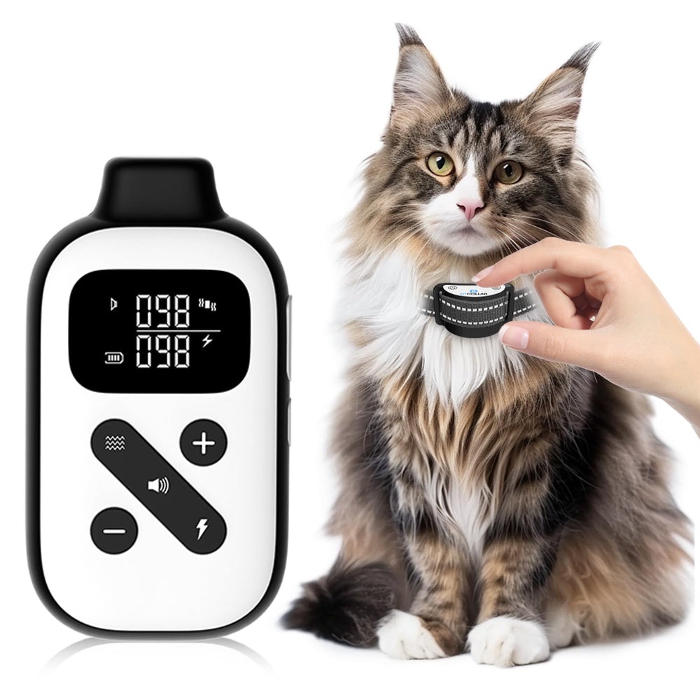DTCollar ultra small cat shock collar receiver designed for light weight daily wear