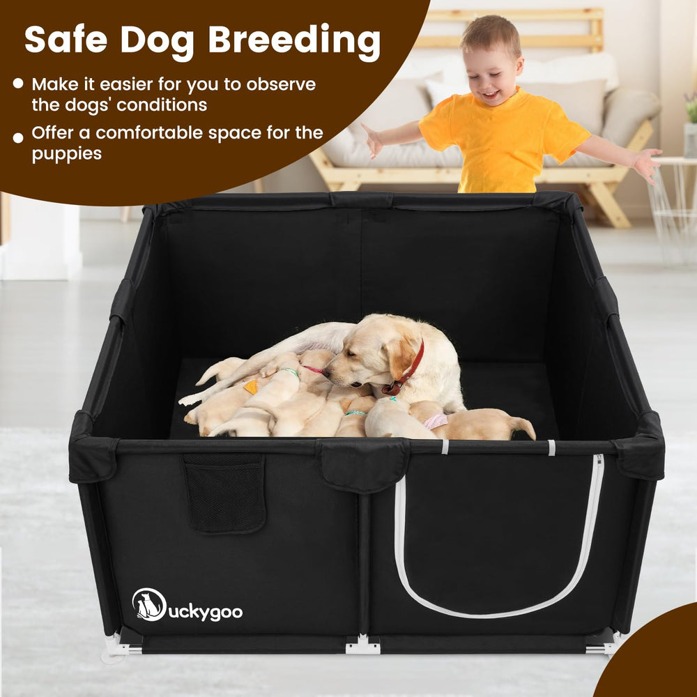 Duckygoo multi-use box serves as recovery space.