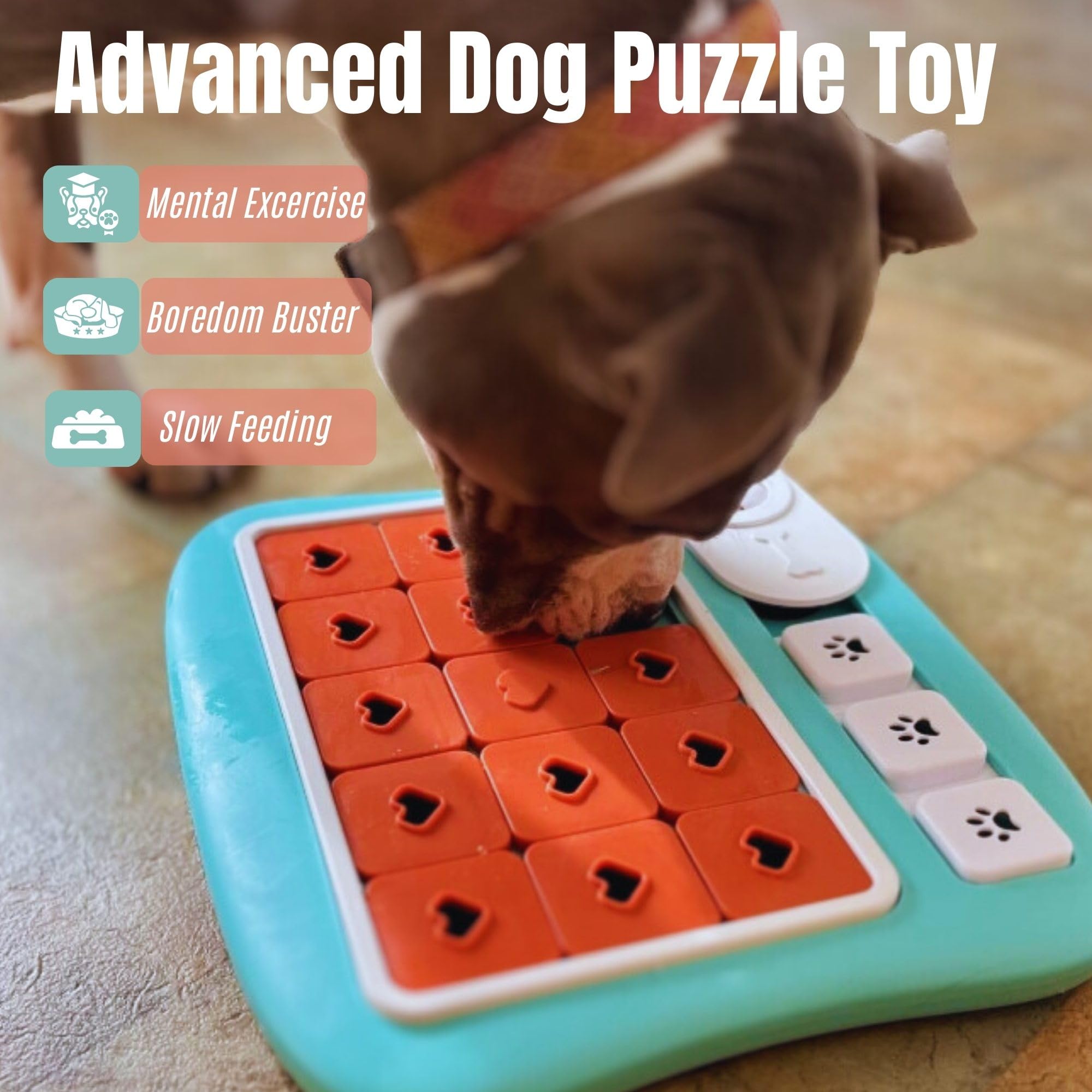 DUDULOVY puzzle toy with multi-level difficulty for progressive challenge