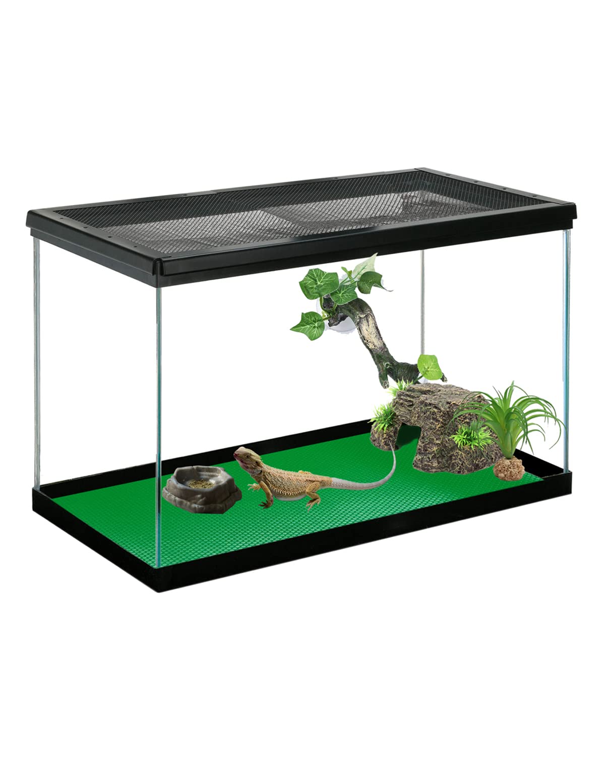 Duedusto bearded dragon setup uses a durable, stylish liner.
