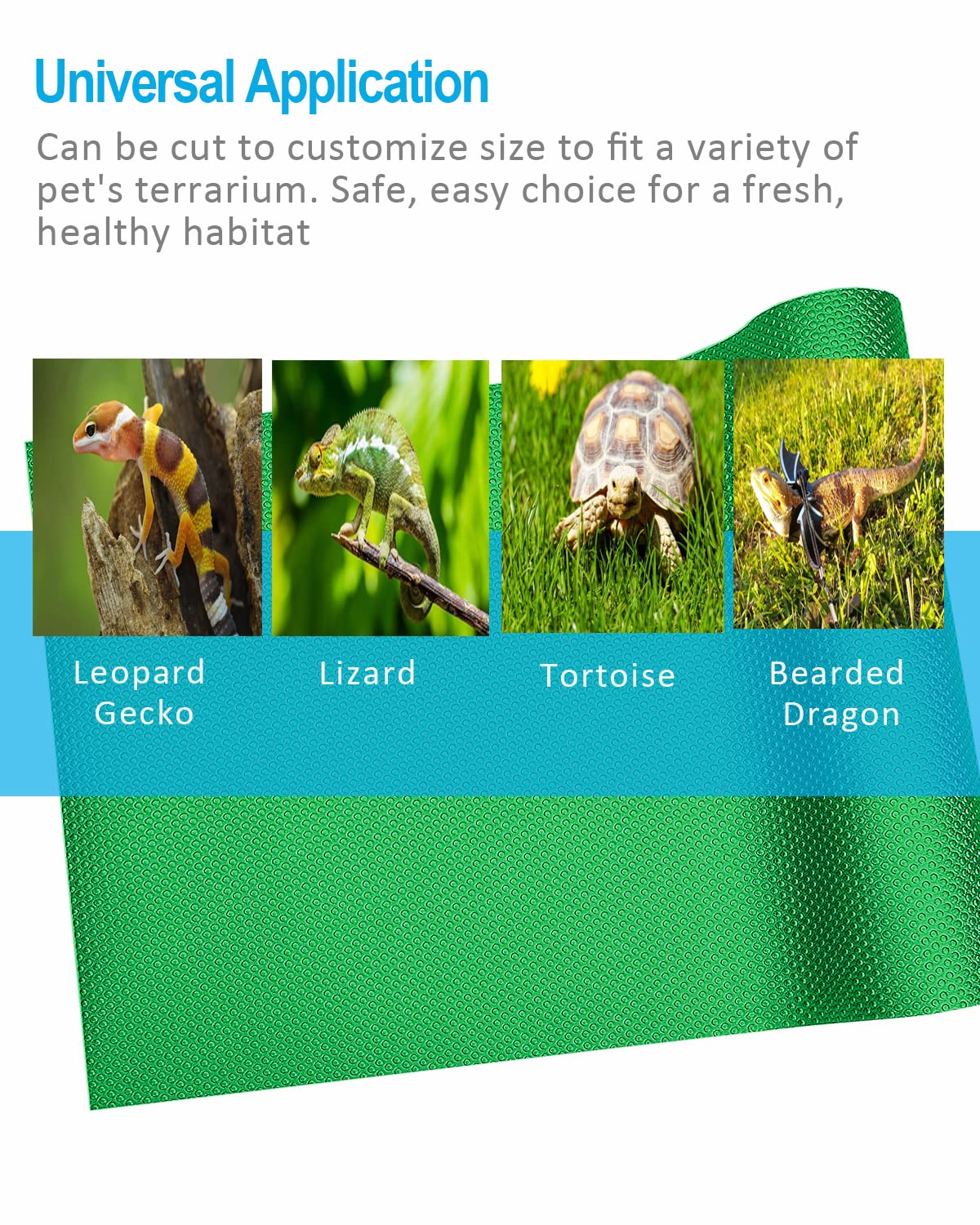 Duedusto non-adhesive reptile mat protects paws and provides grip.
