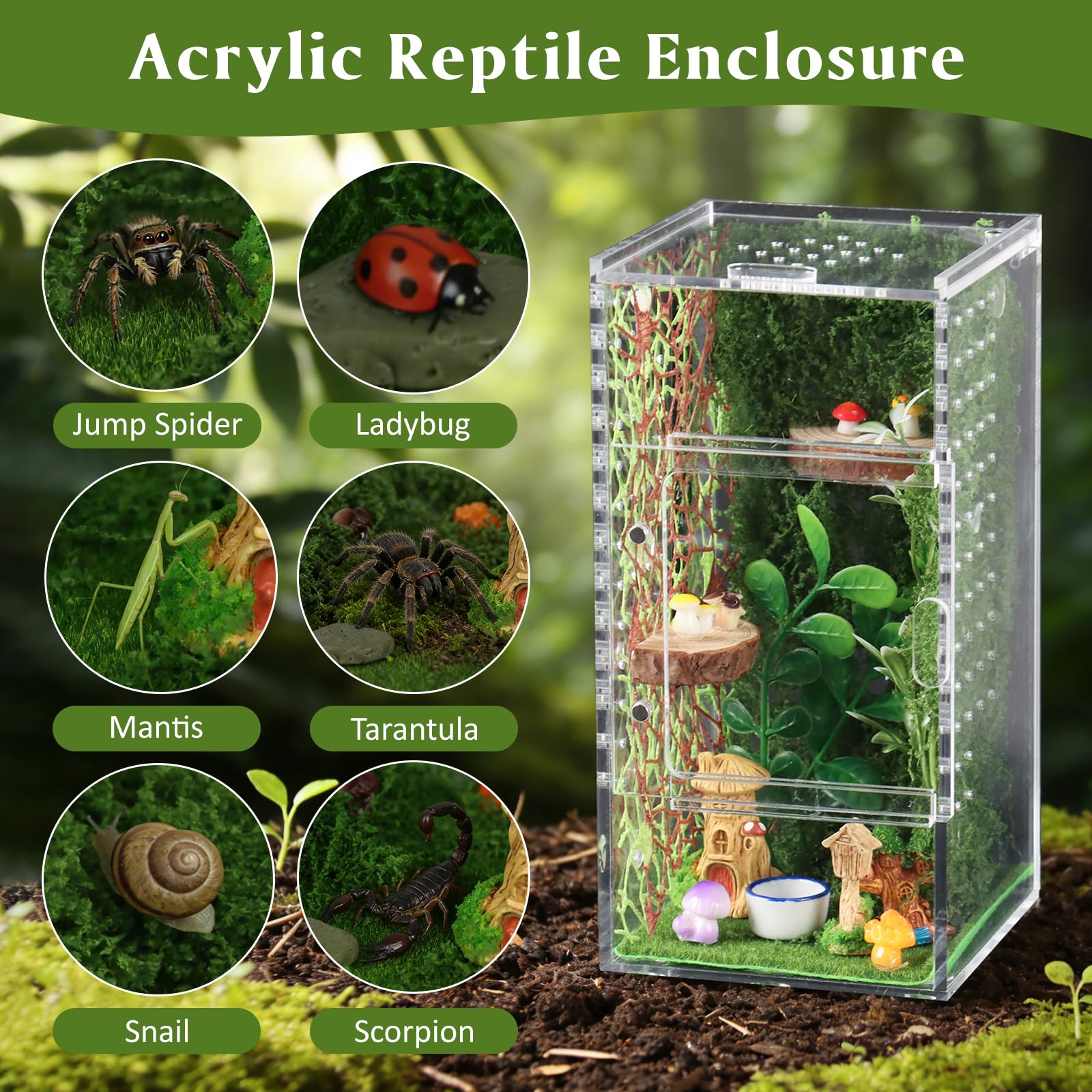 Duluvop clear acrylic terrarium offers 360° observation of your pet