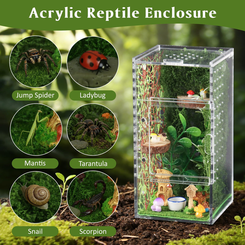 Duluvop clear acrylic terrarium offers 360° observation of your pet