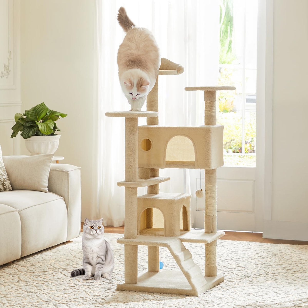 DUMOS 54-inch cat tree base view highlighting sturdy construction for stability.