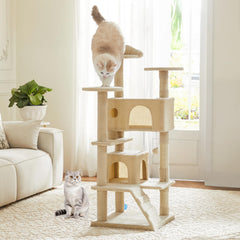 DUMOS 54-inch cat tree base view highlighting sturdy construction for stability.