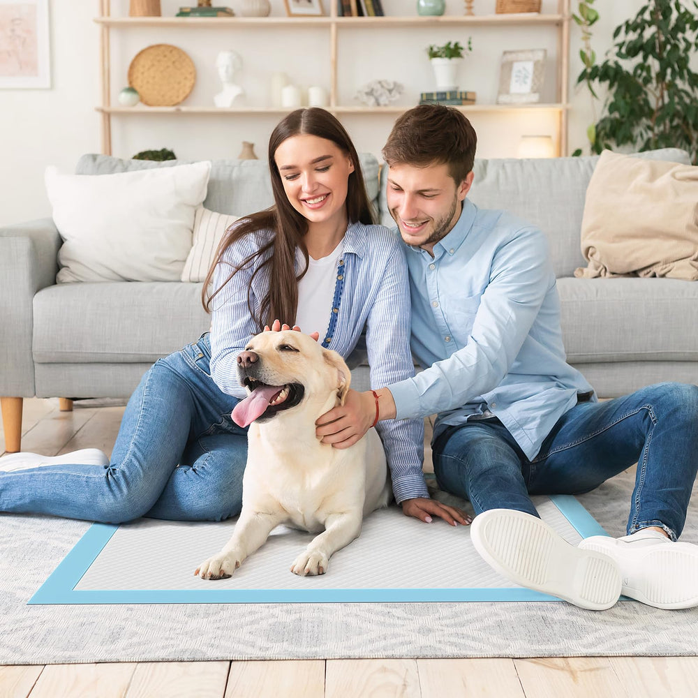 DUMOS disposable pad providing quick drying and leak protection for busy households.