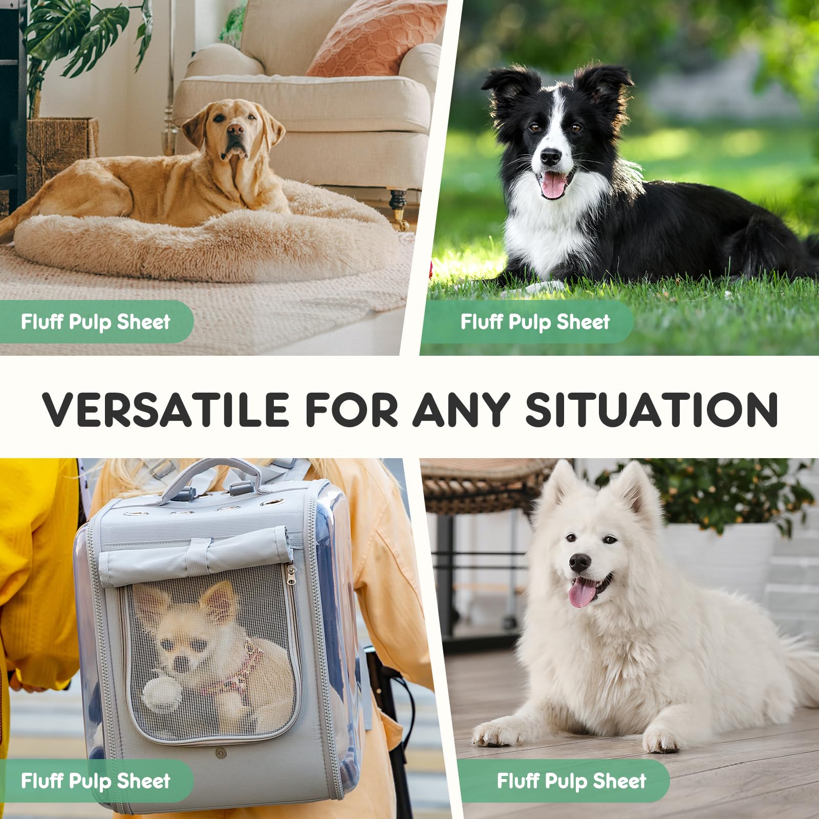 DUMOS pads support house-training and senior pets at home