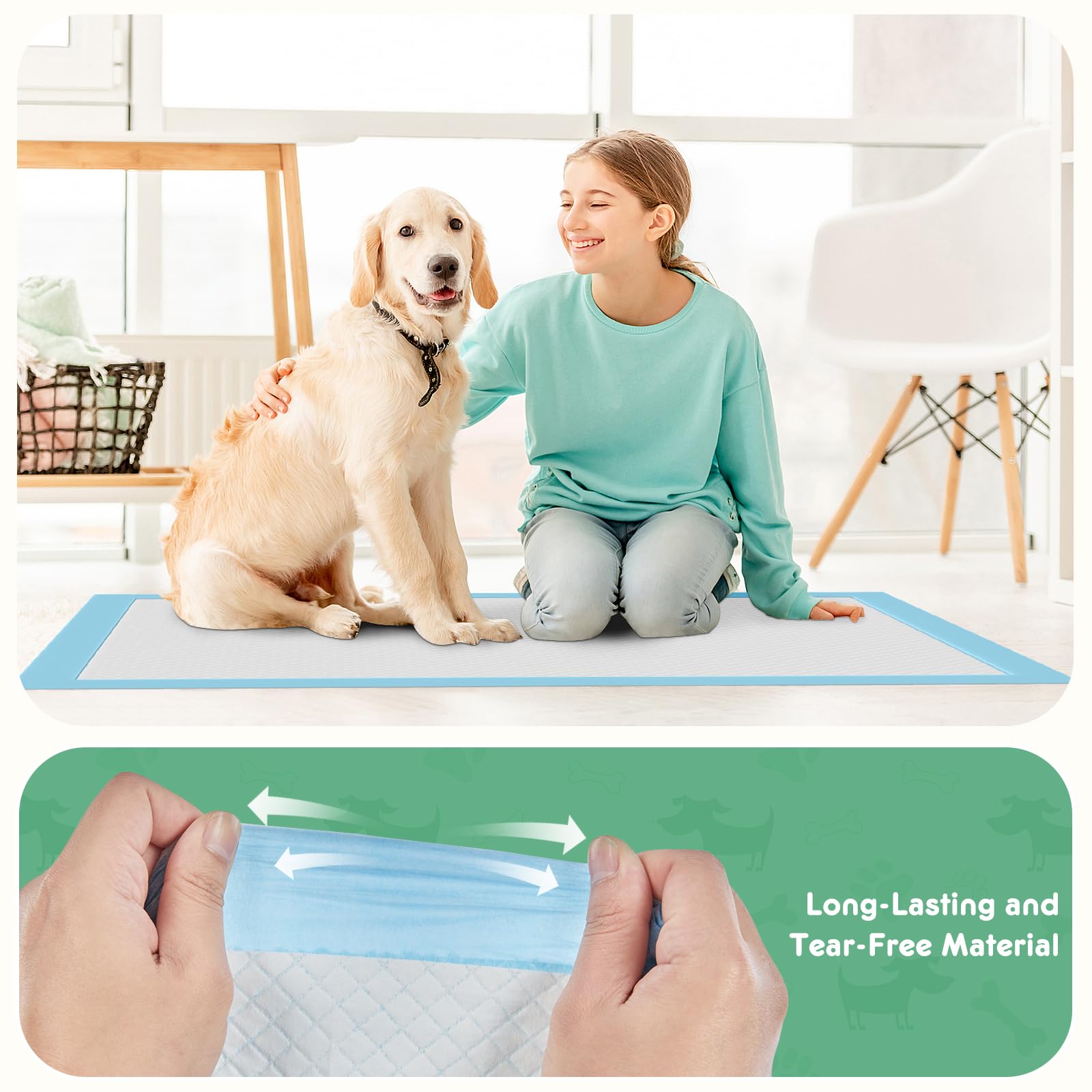 DUMOS indoor potty solution supports senior pets and easy cleanup.