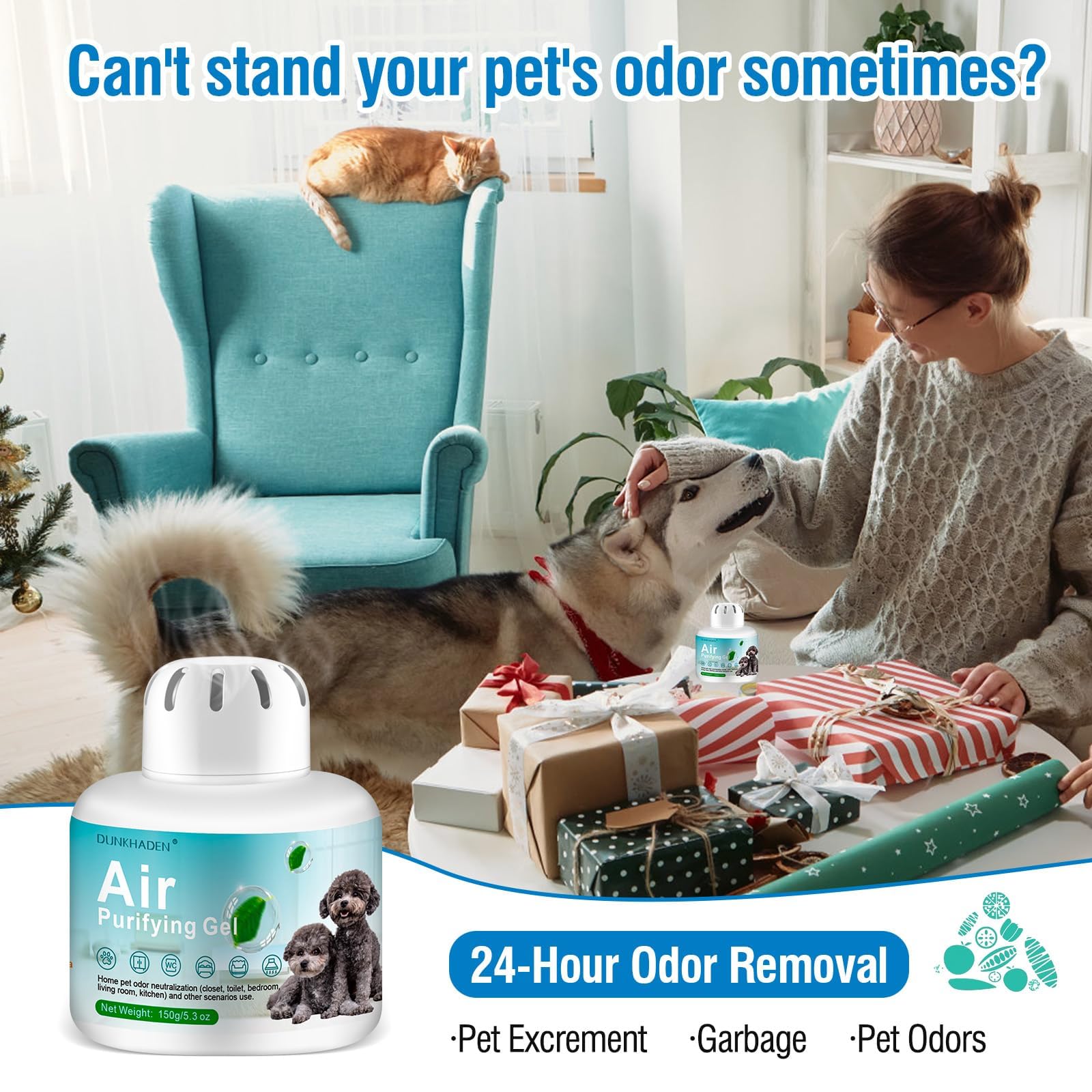 DUNKHADEN Pet Odor Absorber Box on table in a living room ready for use.