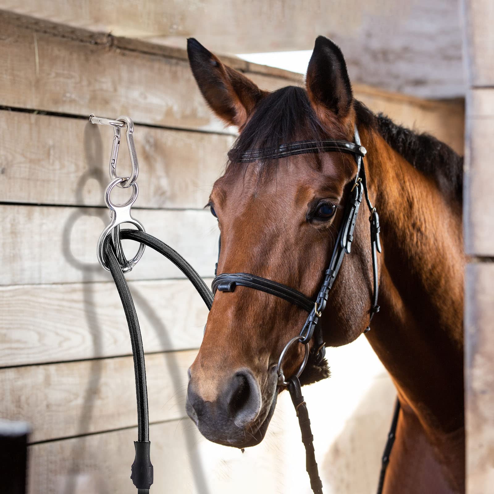 Dunzy tack-area setup image showcases convenient use in grooming and washing stations.