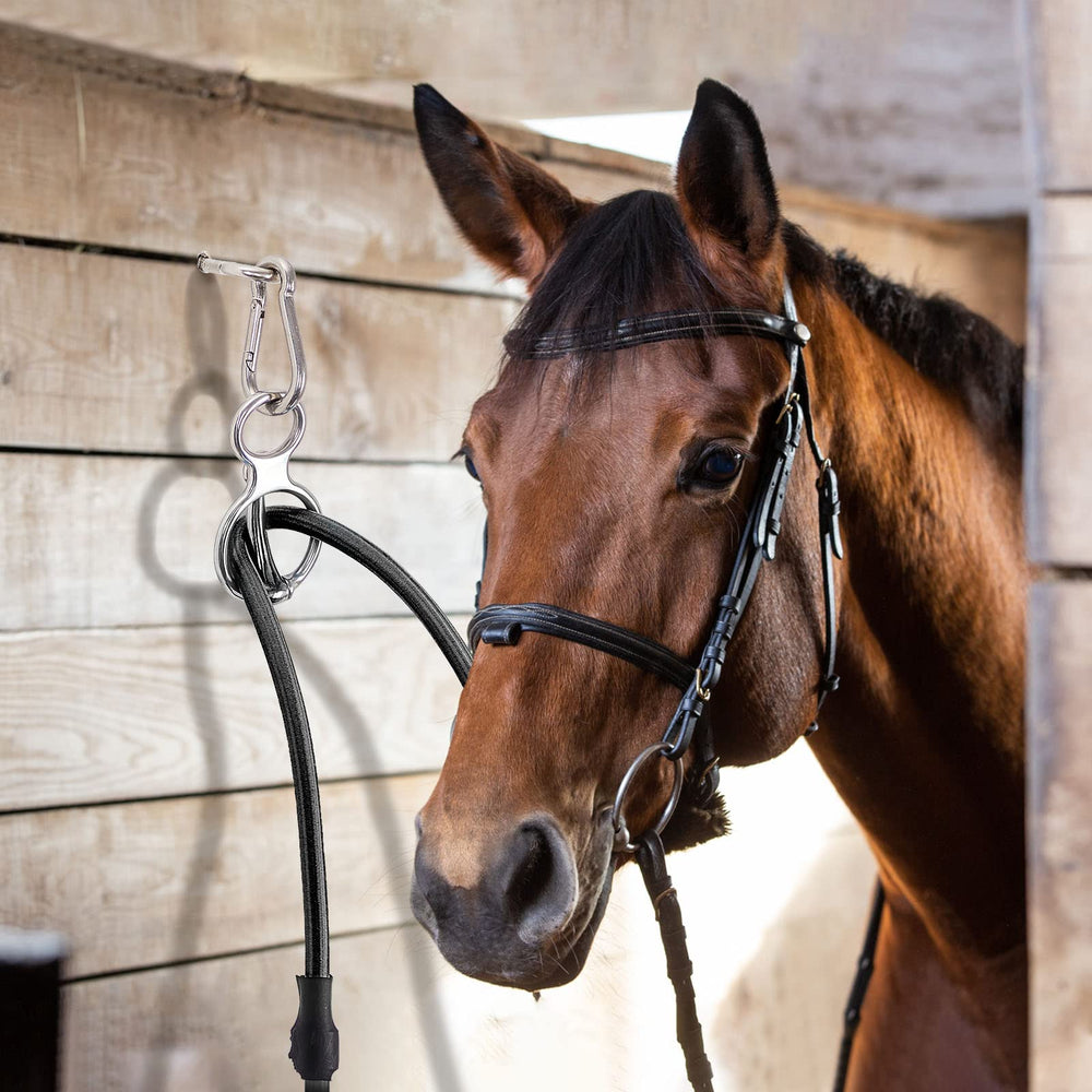 Dunzy tack-area setup image showcases convenient use in grooming and washing stations.