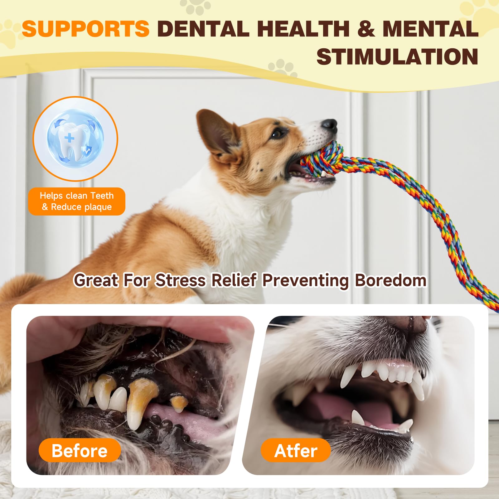 Duocharm rainbow dog-play-action encourages active fetch and tug sessions.