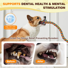 Duocharm rainbow dog-play-action encourages active fetch and tug sessions.