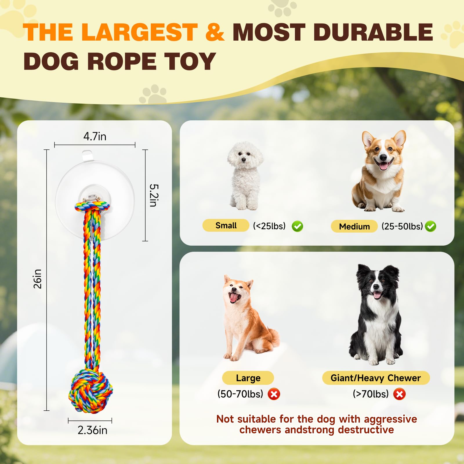 Duocharm rainbow floor-setup shows easy, residue-free installation for secure play.