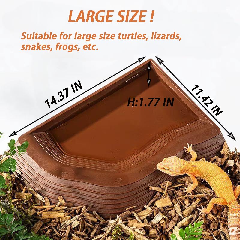 Duoyuzhiyu reptile dish suitable for gecko, snake, and turtle feeding and hydration.