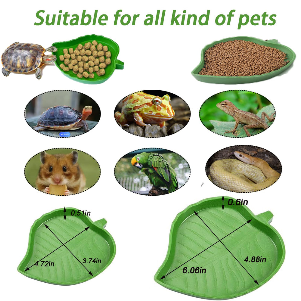 Duoyuzhiyu lizard and bearded dragon habitat ornament doubles as a dish.