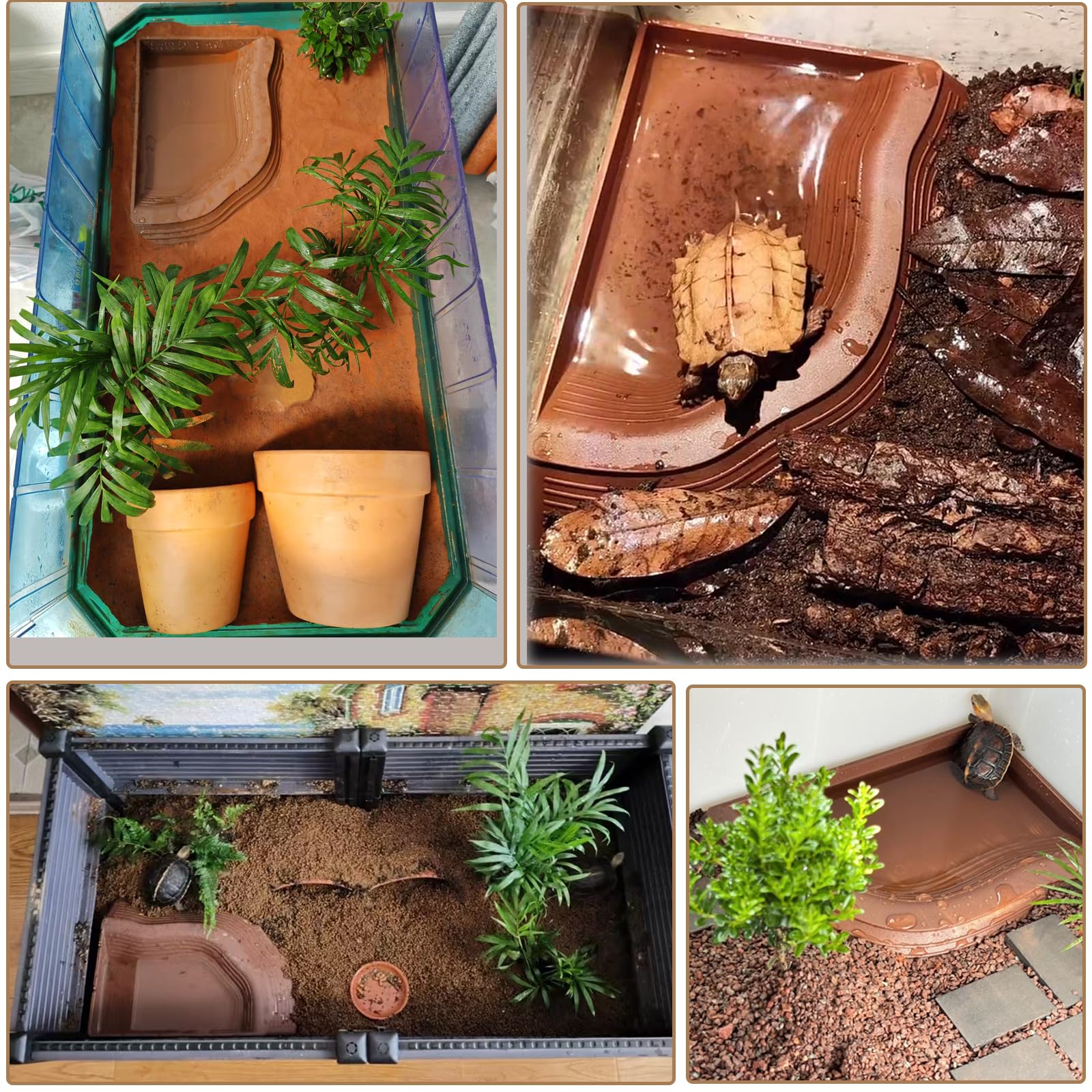 Duoyuzhiyu reptile bath dish with ramp for safe entry and exit.
