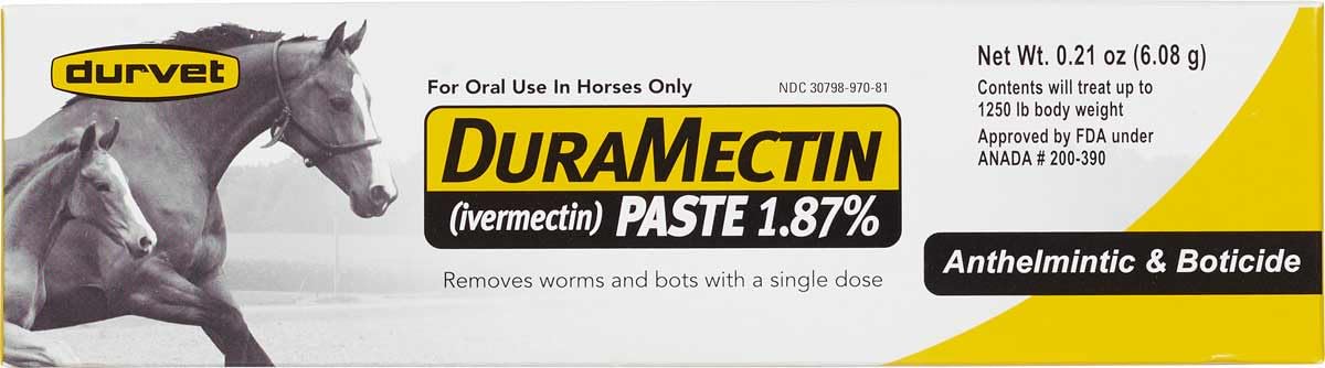 DuraMectin Paste horse wormer tube ready for administration to manage horse parasites.