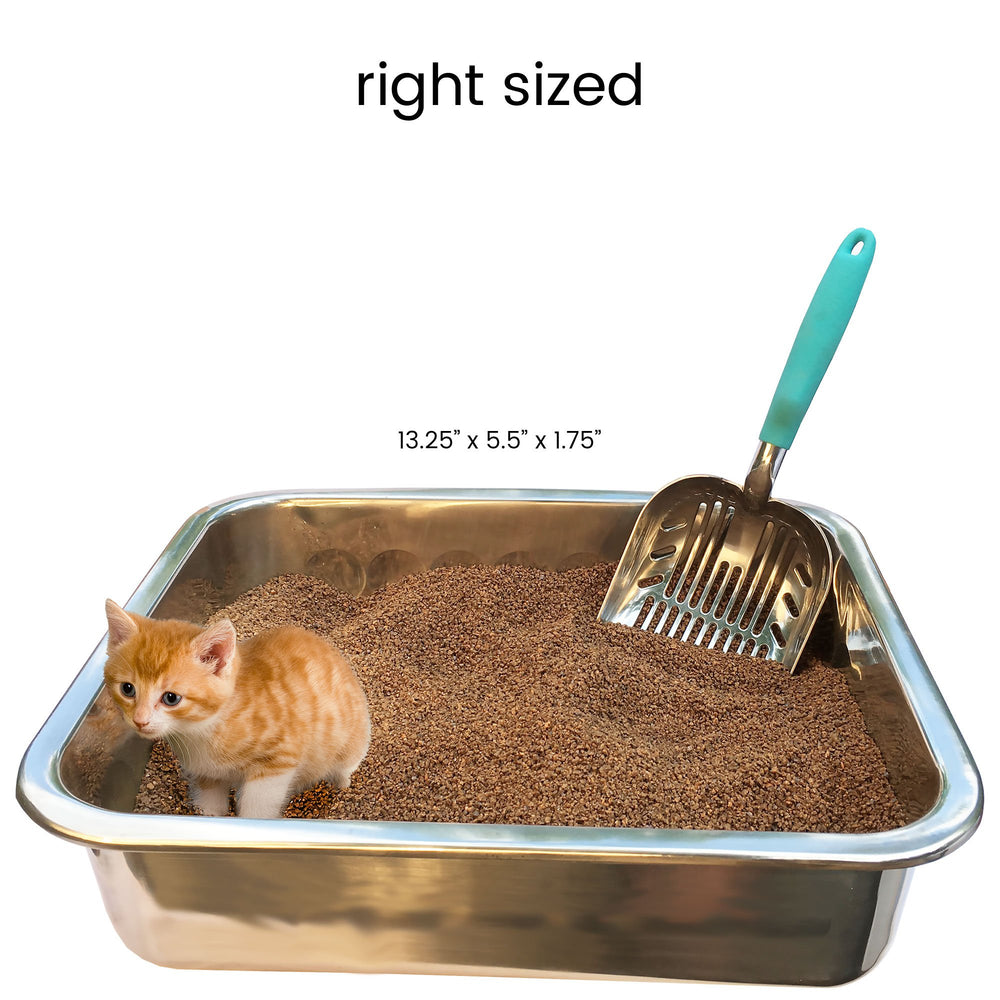 Ergonomic handle with soft grip on the DuraScoop for comfortable use
