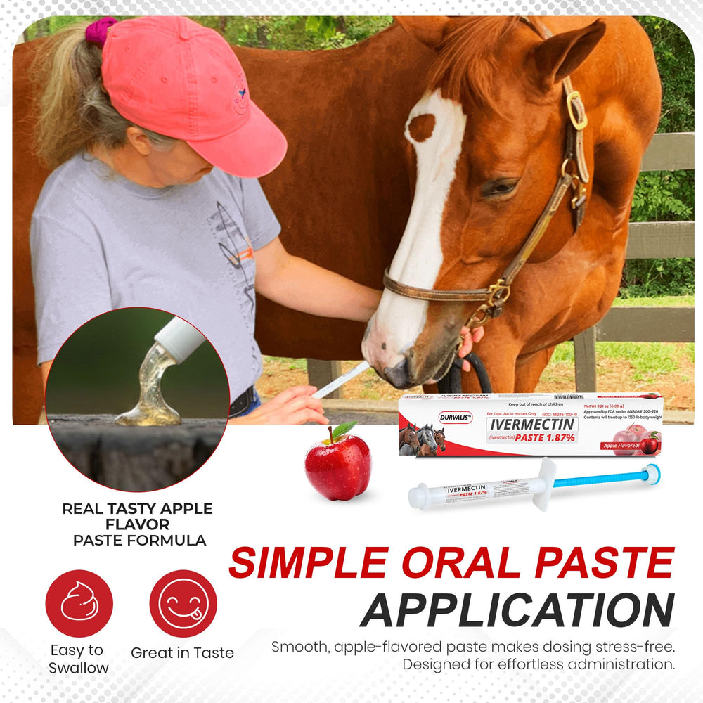 Durvalis horse health support detailing digestive comfort and coat condition benefits.