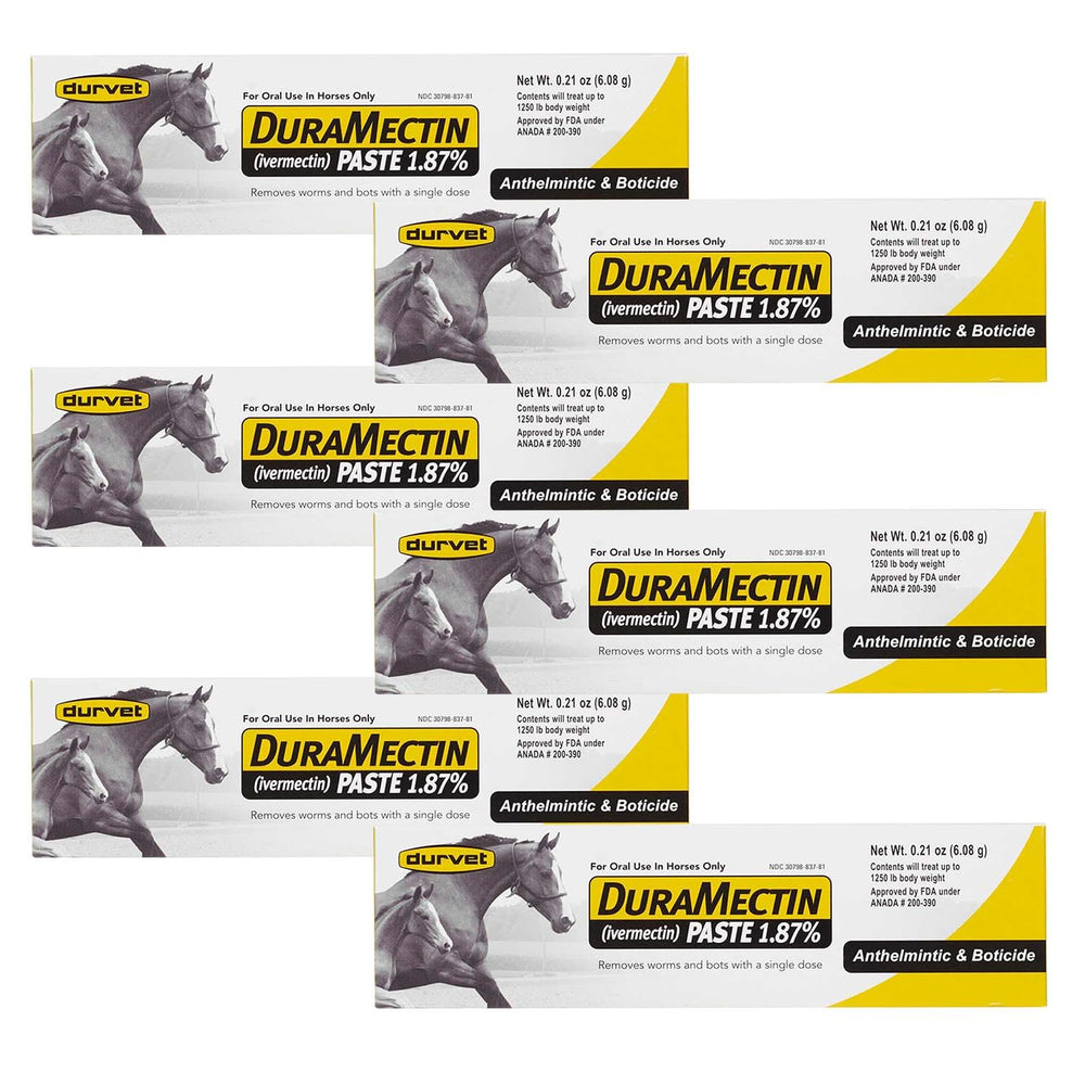Durvet Duramectin equine wormer paste tubes pack for easy oral dosing and parasite control