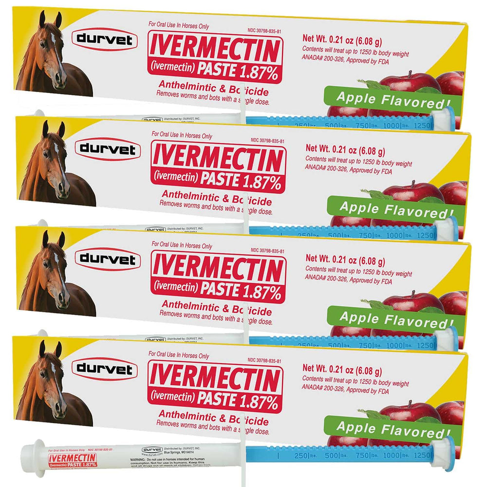 Durvet Ivermectin 4-Pack paste-gel bottle ready for easy parasite protection in horses.