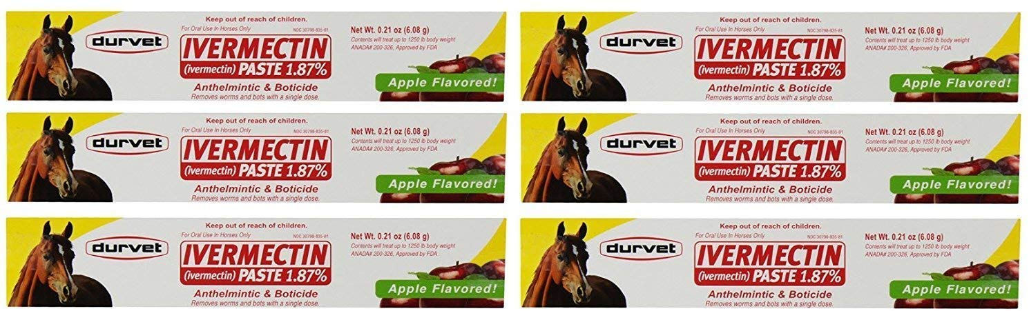 Durvet ivermectin paste apple flavored syringe 6-pack for simple at-home horse deworming