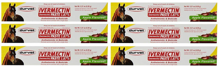 Durvet ivermectin paste apple flavored syringe 6-pack for simple at-home horse deworming