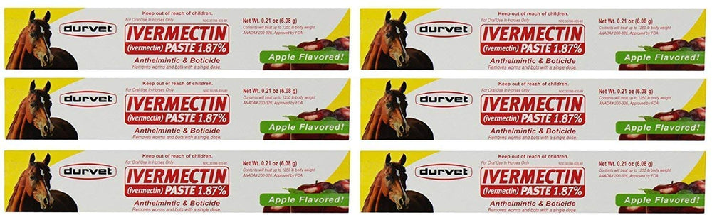 Durvet ivermectin paste apple flavored syringe 6-pack for simple at-home horse deworming