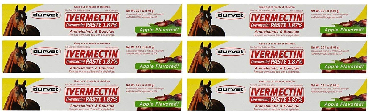 Durvet ivermectin paste apple flavored syringe 6-pack for simple at-home horse deworming