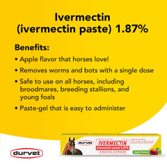 Horse in a stable receiving oral treatment with Durvet Ivermectin Paste.