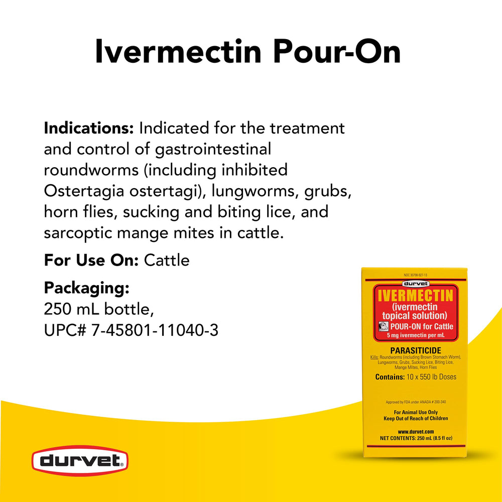 Durvet ivermectin pour-on application area visible on a cow’s back