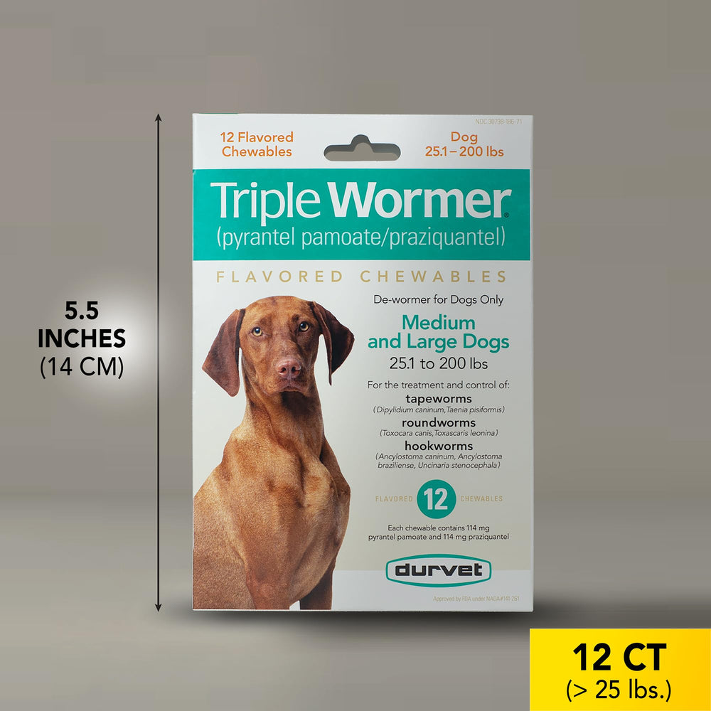 Durvet Triple Wormer dog taking tablet, hassle-free at home.