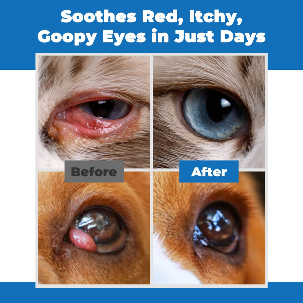 DURVMED Eye Care Cream around eyes supports cleanliness for multiple pets